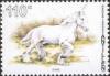 Colnect-960-103-Shire-Horse-Equus-ferus-caballus.jpg