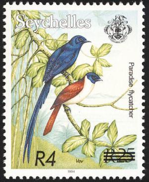 Colnect-1506-994-Seychelles-Paradise-Flycatcher-Terpsiphone-corvina.jpg