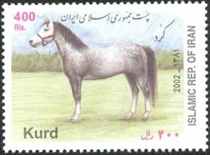Colnect-1581-195-Kurd-Horse-Equus-ferus-caballus.jpg