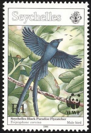 Colnect-1721-651-Seychelles-Paradise-Flycatcher-Terpsiphone-corvina.jpg