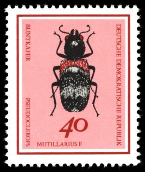 Colnect-1975-505-Beetle-Pseudoclerops-mutillarius.jpg