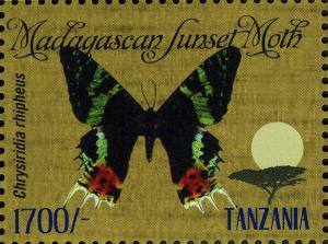 Colnect-2420-217-Madagascan-Sunset-Moth-Chrysiridia-rhipheus.jpg