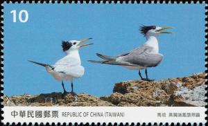 Colnect-4456-707-Chinese-Crested-Tern-Matsu.jpg