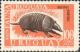 Colnect-1178-586-Southern-Long-nosed-Armadillo-Dasypus-hybridus-.jpg