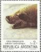 Colnect-1607-226-Crabeater-Seal-Lobodon-carcinophagus.jpg