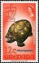 Colnect-4292-447-Yellow-footed-Tortoise-Testudo-denticulata---Overprinted.jpg