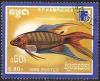 Colnect-1087-559-Paradisefish-Macropodus-opercularis.jpg