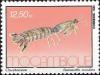 Colnect-1116-911-Zebra-Mantis-Shrimp-Lysiosquilla-maculata.jpg