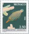 Colnect-149-258-Harlequin-Filefish-Oxymonacanthus-longirostris.jpg