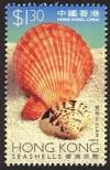 Colnect-1893-631-Shell-Chlamys-sp.jpg