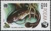 Colnect-1997-672-Wels-Catfish-Silurus-glanis-and-Frog.jpg