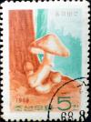 Colnect-2562-538-Gypsy-mushroom-Pholiota-caperata.jpg