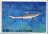 Colnect-4000-052-Sharpnose-Shark.jpg