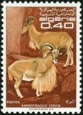 Colnect-1512-393-Barbary-Sheep-Ammotragus-lervia.jpg