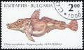Colnect-3856-023-Icefish-Chaenocephalus-sp-.jpg