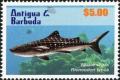 Colnect-5942-700-Whale-Shark-Rhincodon-typus.jpg