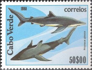Colnect-1124-851-Blue-Shark-Prionace-glauca.jpg