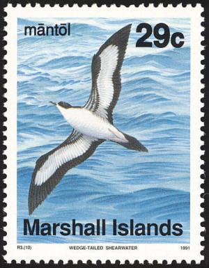 Colnect-1599-521-Wedge-tailed-Shearwater-Puffinus-pacificus.jpg