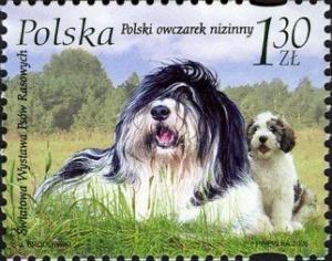 Colnect-3064-203-Polish-Lowland-Sheepdog-Canis-lupus-familiaris.jpg