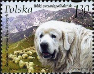 Colnect-3064-205-Polish-Podhale-Sheepdog-Canis-lupus-familiaris.jpg