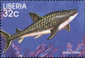 Colnect-3977-617-Whale-Shark-Rhincodon-typus.jpg