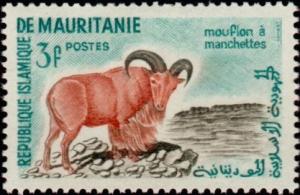 Colnect-583-192-Barbary-Sheep-Ammotragus-lervia.jpg