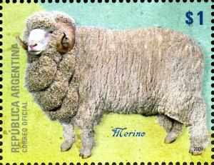 Colnect-956-312-Merino-Sheep-Ovis-ammon-aries.jpg