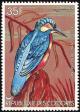 Colnect-2248-560-Madagascar-Kingfisher-Alcedo-vintsioides-johannae.jpg