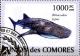 Colnect-3798-531-Whale-Shark-Rhincodon-typus.jpg