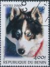 Colnect-3333-405-Siberian-Husky-Canis-lupus-familiaris.jpg