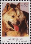 Colnect-4711-429-Siberian-Husky-Canis-lupus-familiaris.jpg