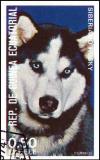 Colnect-4990-024-Siberian-Husky-Canis-lupus-familiaris.jpg