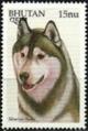 Colnect-3377-297-Siberian-Husky-Canis-lupus-familiaris.jpg