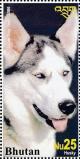 Colnect-3394-233-Sibirian-Husky-Canis-lupus-familiaris.jpg
