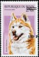Colnect-4032-139-Siberian-Husky-Canis-lupus-familiaris.jpg