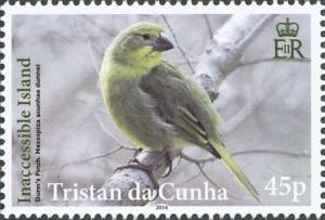 Colnect-4568-644-Inaccessible-Island-Finch-Nesospiza-acunhae.jpg