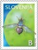 Colnect-703-185-Fruits-in-Slovenia-Olive-Fruit-Fly.jpg