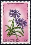 Colnect-3094-384-Small-agapanthus.jpg
