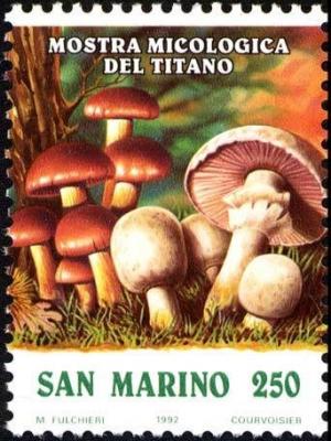 Colnect-1233-105-Poisonous-mushrooms-1.jpg
