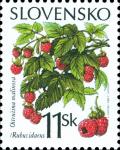 Colnect-1940-566-Wild-raspberry---Rubus-idaeus.jpg
