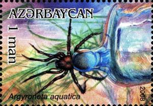 Colnect-1603-637-Airbubble-Spider-Argyroneta-aquatica.jpg