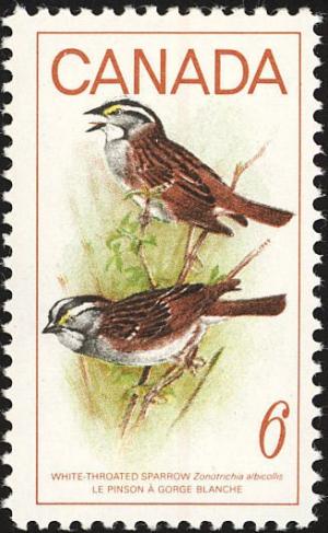 Colnect-3642-376-White-throated-Sparrow-Zonotrichia-albicollis.jpg