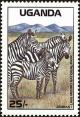 Colnect-4277-815-Zebra-Equus-sp-Lake-Mburo-National-Park.jpg