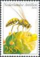 Colnect-965-548-Paper-Wasp-Polistes-versicolor.jpg