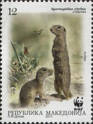Colnect-3071-743-European-Ground-Squirrel-Spermophilius-citellus.jpg