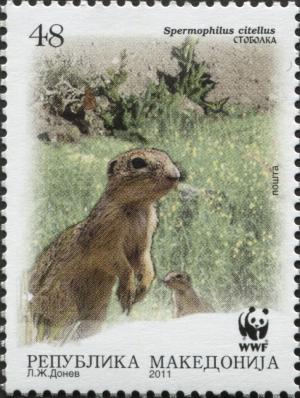 Colnect-3071-745-European-Ground-Squirrel-Spermophilius-citellus.jpg