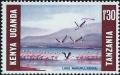 Colnect-2563-629-Lake-Nakuru-and-Lesser-Flamingo-Phoeniconaias-minor.jpg
