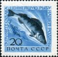 Stamp_of_USSR_2467.jpg