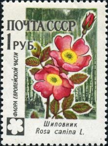 Stamp_of_USSR_2501.jpg
