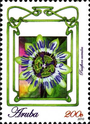 Colnect-1460-778-Passiflora-Caerulea.jpg